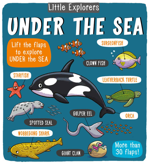 Little Explorers: Under the Sea by Little Bee Books, 9781499806953