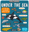 Little Explorers: Under the Sea by Little Bee Books, 9781499806953