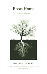 Roots Home by Gillian Clarke, 9781800170780
