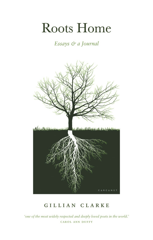 Roots Home by Gillian Clarke, 9781800170780