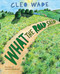 What the Road Said by Cleo Wade, Lucie de Moyencourt, 9781250269492