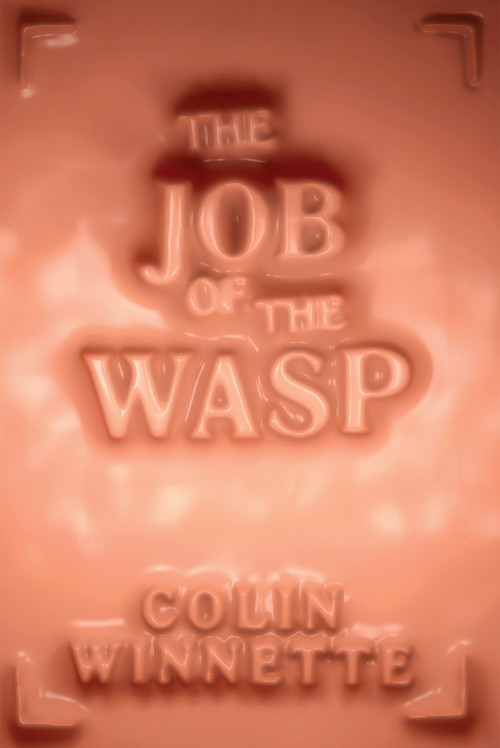 The Job of the Wasp (A Novel) by Colin Winnette, Colin Winnette, 9781593766801