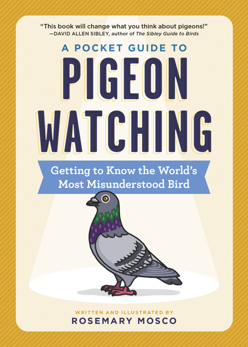 A Pocket Guide to Pigeon Watching (Getting to Know the World's Most Misunderstood Bird) by Rosemary Mosco, 9781523511341