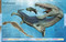 Dinosaurs: A Visual Encyclopedia, 2nd Edition - 9781465470119 by DK