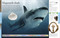 Dinosaurs: A Visual Encyclopedia, 2nd Edition - 9781465470119 by DK