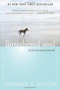 The Untethered Soul (The Journey Beyond Yourself) by Michael A. Singer, 9781572245372