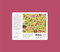 Nature Anatomy: The Puzzle (500 pieces) by Julia Rothman, Julia Rothman, 9781635864014