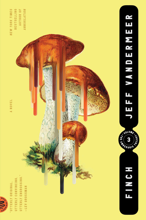 Finch (A Novel) by Jeff VanderMeer, 9780374538613