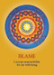The Soul's Journey Lesson Cards (A 44-Card Deck and Guidebook) by James Van Praagh, 9781401944711