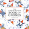 The Little Winter Book of Gnomes by Kirsten Sevig, 9781682684788