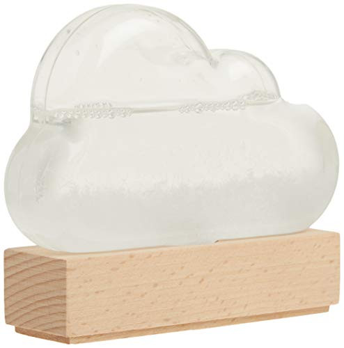 Storm Cloud (A Weather Predicting Instrument) by Bitten, 9781452177083
