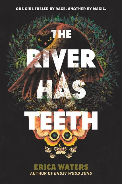 The River Has Teeth by Erica Waters, 9780062894250