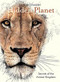 Hidden Planet (Secrets of the Animal Kingdom) by Ben Rothery, 9780884488750