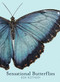 Sensational Butterflies by Ben Rothery, 9780884488767