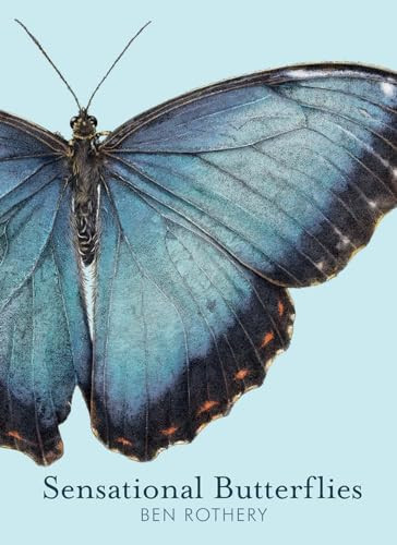Sensational Butterflies by Ben Rothery, 9780884488767