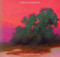 Transcendence ((American Landscape Painting, Painter Richard Mayhew Art Book)) by Richard Mayhew, Mikaela Sardo Lamarche, Andrew Walker, 9781452178905