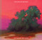 Transcendence ((American Landscape Painting, Painter Richard Mayhew Art Book)) by Richard Mayhew, Mikaela Sardo Lamarche, Andrew Walker, 9781452178905