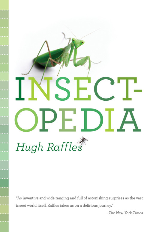 Insectopedia by Hugh Raffles, 9781400096961