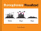 Homophones Visualized ((Book Lover Gift, Nerdy Word and Wordplay Book)) by Bruce Worden, 9781452180038