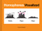 Homophones Visualized ((Book Lover Gift, Nerdy Word and Wordplay Book)) by Bruce Worden, 9781452180038