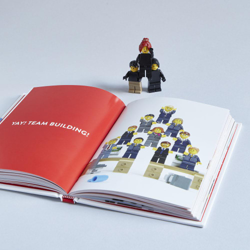 LEGO: We Just Click (Little LEGO® Love Stories) by Aled Lewis, 9781452182315