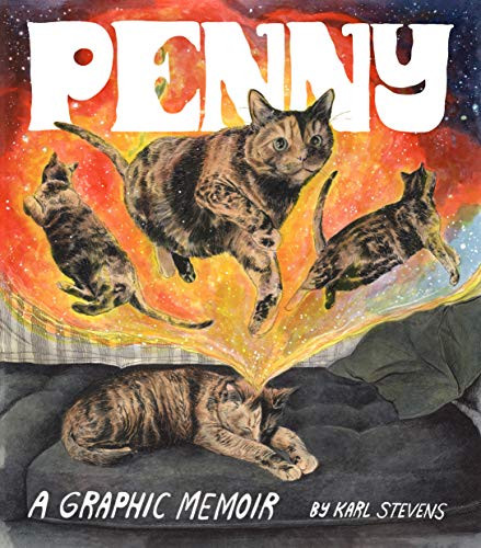 Penny (A Graphic Memoir) by Karl Stevens, 9781452183053