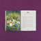 The Little Witch's Book of Spells by Ariel Kusby, Olga Baumert, 9781452183619