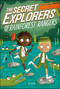 The Secret Explorers and the Rainforest Rangers by SJ King, 9780744021363