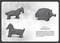 Amber and Clay by Laura Amy Schlitz, Julia Iredale, 9781536201222