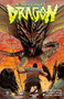 A Town Called Dragon by Judd Winick, Geoff Shaw, 9781937278403