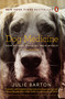 Dog Medicine (How My Dog Saved Me from Myself) by Julie Barton, 9780143130017