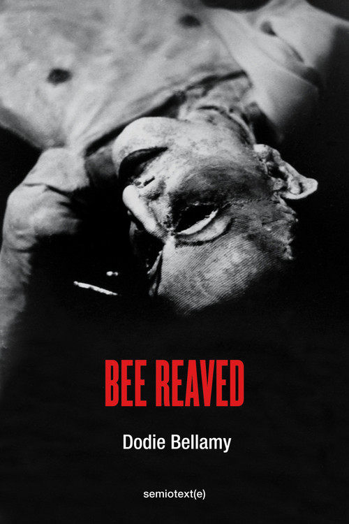 Bee Reaved by Dodie Bellamy, 9781635901573