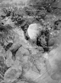 Promesse du Bonheur by Michael Fried, James Welling, 9781941701430