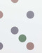 Bridget Riley: Recent Paintings 2014-2017 by Bridget Riley, Richard Shiff, 9781941701911