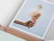 Kinfolk Notecards - The Weekend Edition (Miniature Edition) by Various, 9781941815168