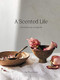 A Scented Life (Wellbeing and essential oils) by Pat Princi-Jones, 9781743795958
