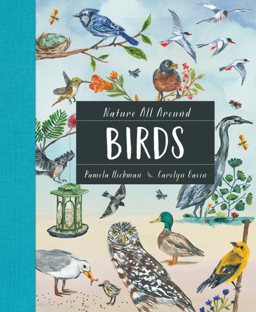 Nature All Around: Birds by Pamela Hickman, Carolyn Gavin, 9781771388184