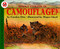 What Color Is Camouflage? by Carolyn B. Otto, Megan Lloyd, 9780064451604