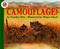 What Color Is Camouflage? by Carolyn B. Otto, Megan Lloyd, 9780064451604