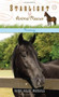 Runaway - 9781414312682 by Dandi Daley Mackall, 9781414312682