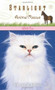 Wild Cat by Dandi Daley Mackall, 9781414312705