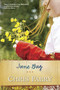 June Bug by Chris Fabry, 9781414319568