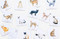 Cat Coasters (Miniature Edition) by Marcel George, 9781786274328
