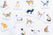 Cat Coasters (Miniature Edition) by Marcel George, 9781786274328