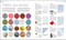 Design, Second Edition (The Definitive Visual Guide) by DK, Judith Miller, Smithsonian Institution, 9781465491374