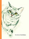 The Book of Cat Poems by Ana Sampson, Sarah Maycock, 9781786279446