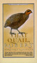 That Quail, Robert by Margaret Stanger, 9780060812461
