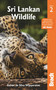 Sri Lankan Wildlife - 9781784777500 by Gehan de Silva Wijeyeratne, 9781784777500