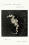 It Shouldn't Have Been Beautiful by Lia Purpura, 9780143126904