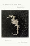 It Shouldn't Have Been Beautiful by Lia Purpura, 9780143126904